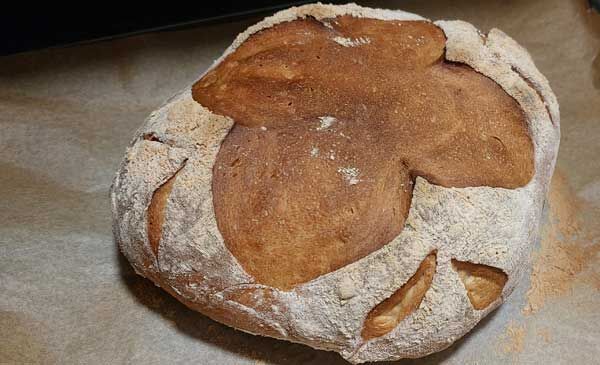 panificadora lidl opiniones