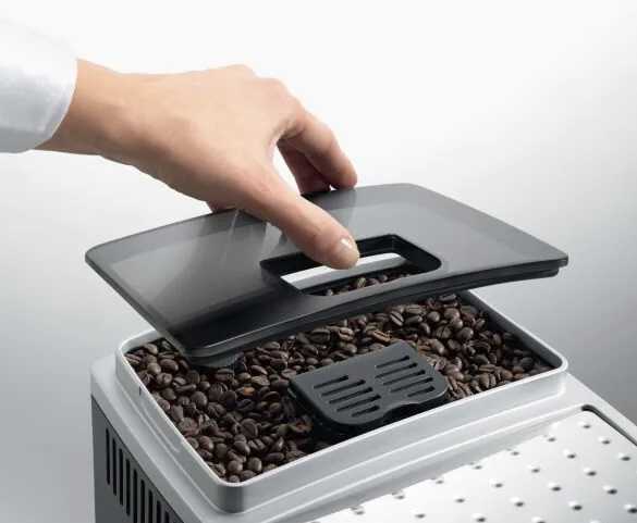 magnifica s delonghi