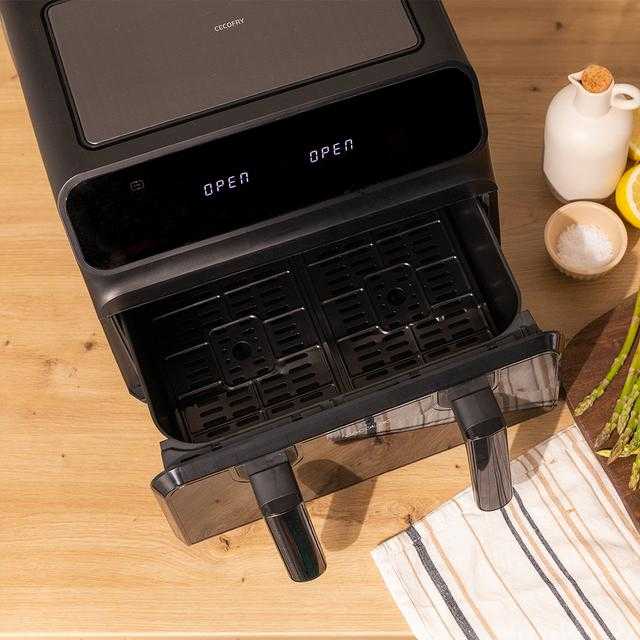 review opiniones cecotec Cecofry Advance 9000 Window